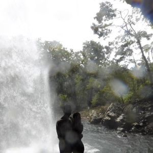 Meet your Posher, Nassi